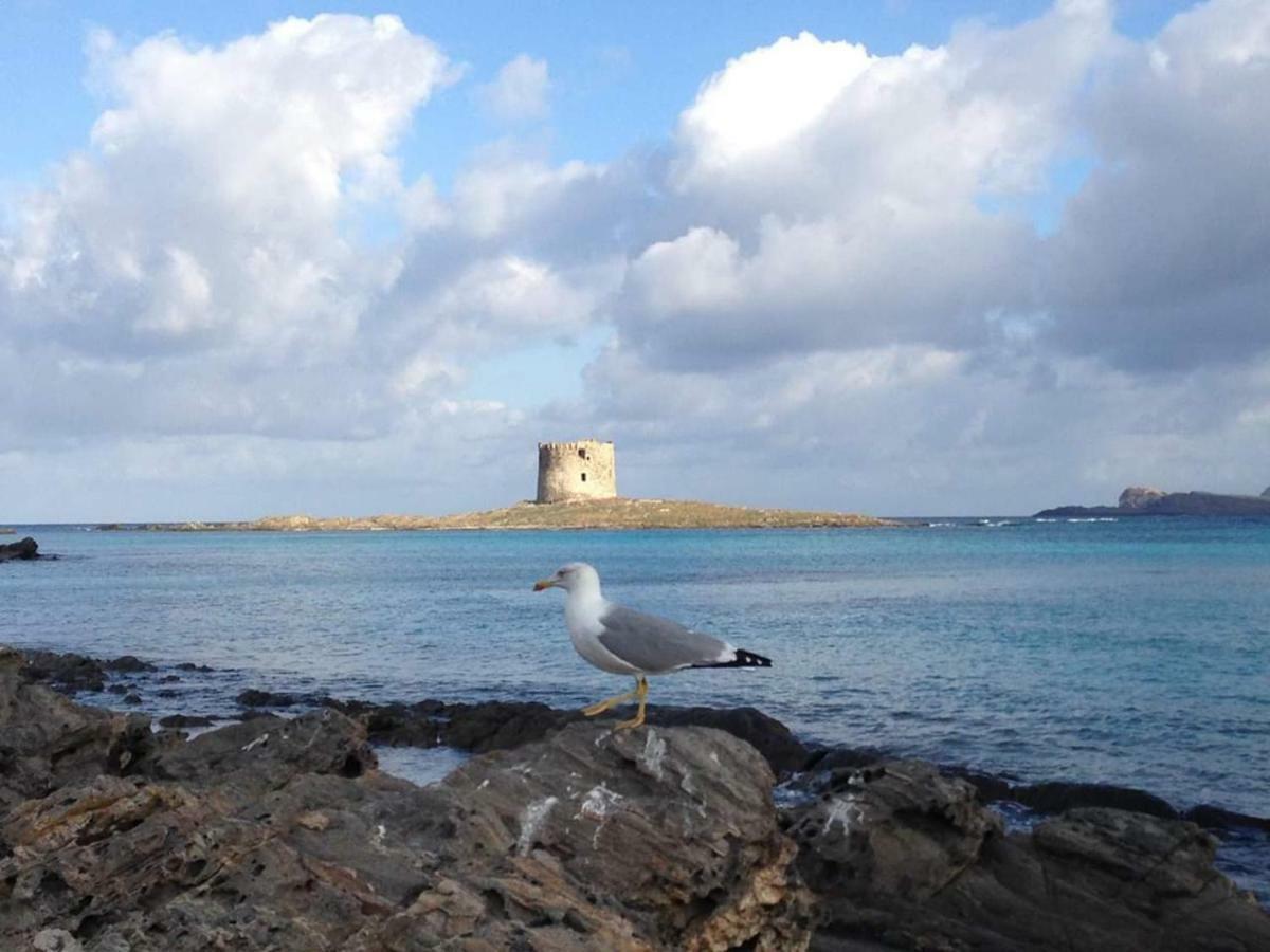 Maria Antonietta House Villa Porto Torres Bagian luar foto